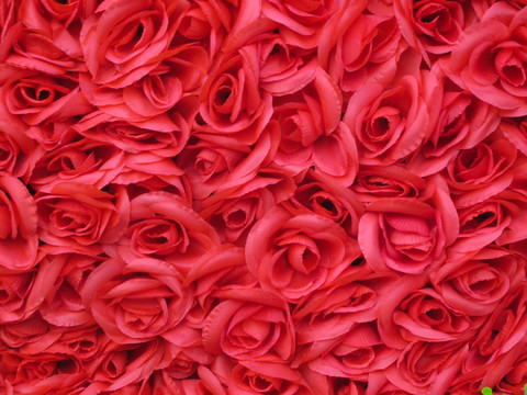 塑料玫瑰花