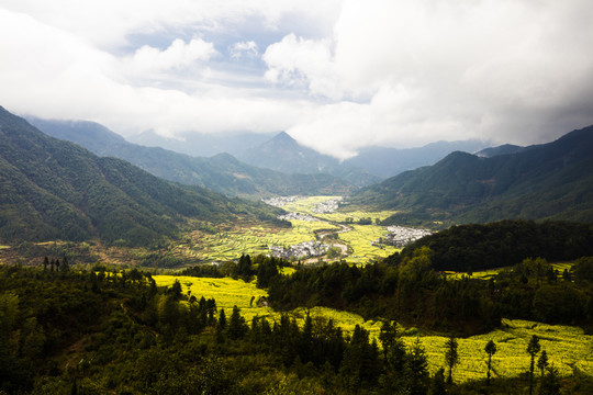 婺源江岭