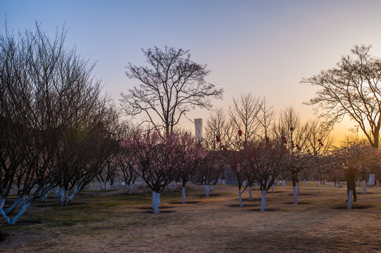 北京明城墙遗址公园