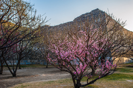 北京明城墙遗址公园