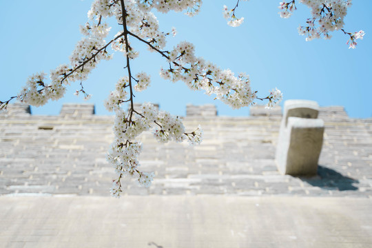 梨花古建筑
