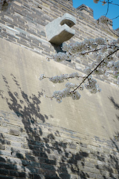 梨花古建筑