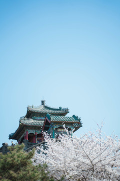 梨花古建筑