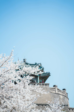 梨花古建筑