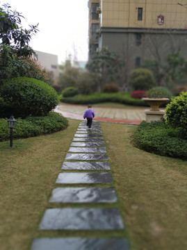 雨后散步的孩子