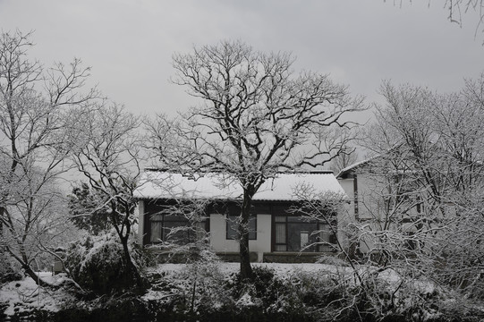 大雪覆盖着小楼