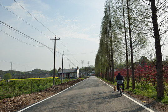 乡村公路