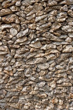 海蛎墙壁