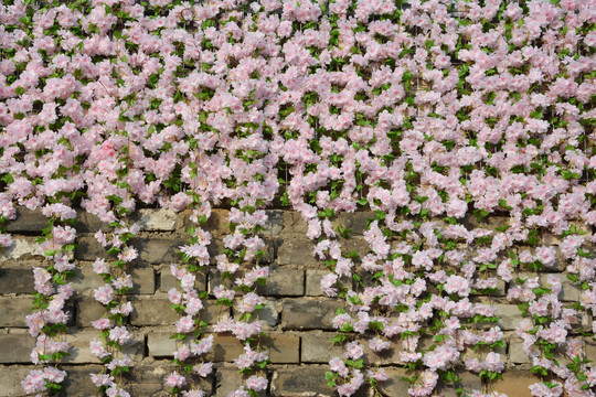 花朵装饰墙