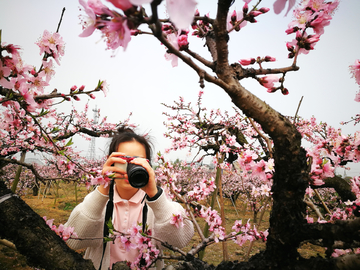 桃花丛中拍摄的女孩