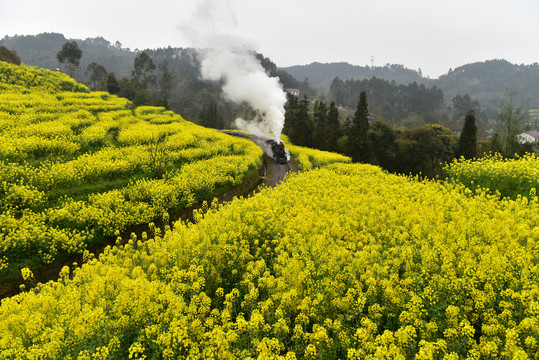 嘉阳小火车旅游摄影