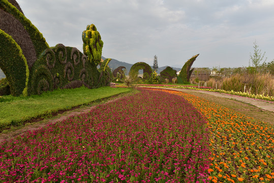 西昌小渔村植物园