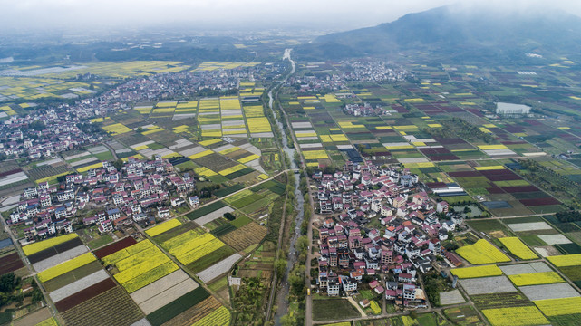 田园风光