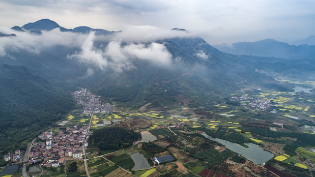 田园风光