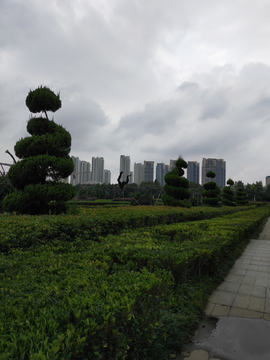 书法广场