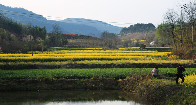 乡村