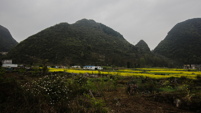 贵州贵安新区春天景色