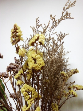 干花