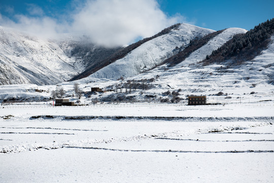 新都桥雪景