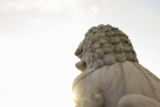 普陀山风景区之石狮