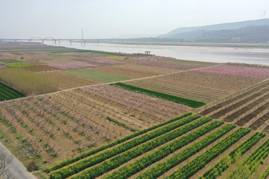 风陵渡黄河大桥