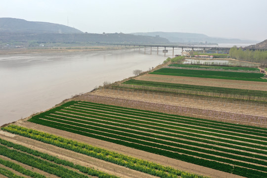 风陵渡黄河大桥