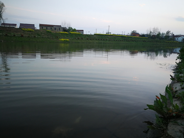 河面