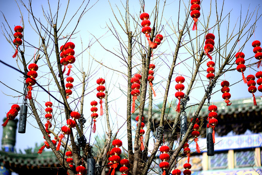 春节红灯笼