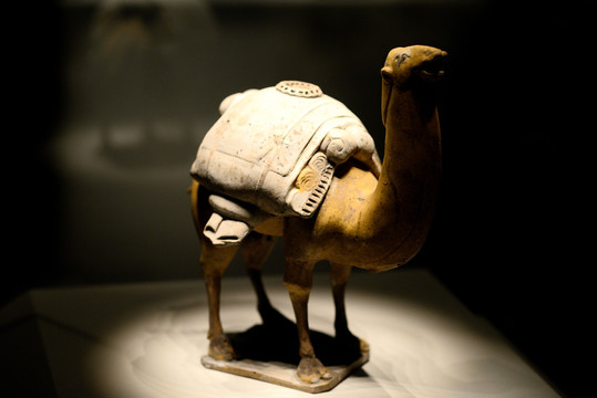 陶骆驼