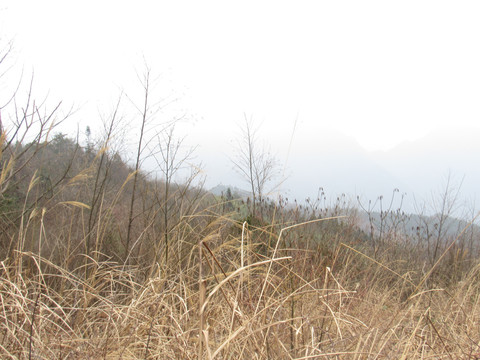 山川