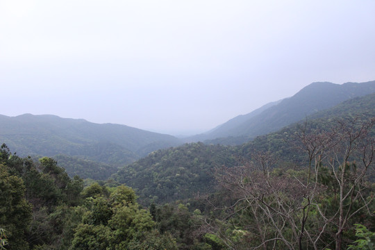 青山绿水