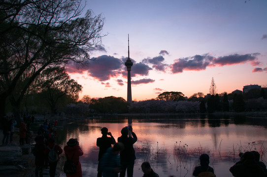 玉渊潭夜景