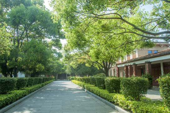 开元寺内院