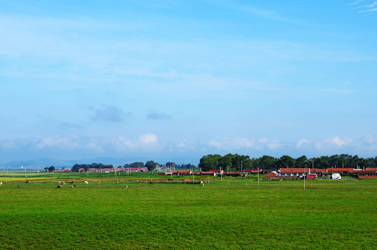 草原农村