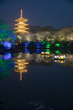 东湖樱园夜景