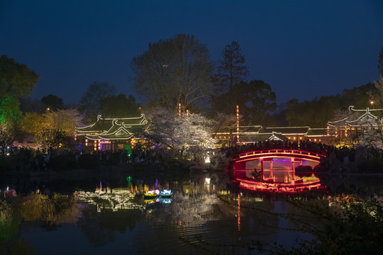 东湖樱园夜景