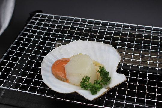 大扇贝