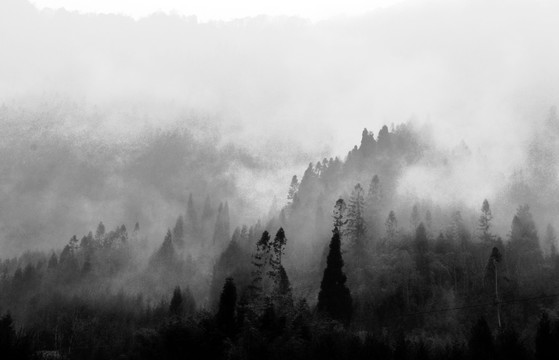 水墨黍山