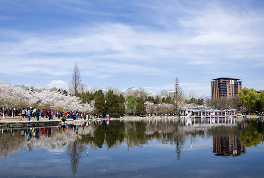 都市景观园林素材