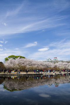 北京旅游素材