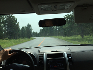 驾驶视野的森林公路