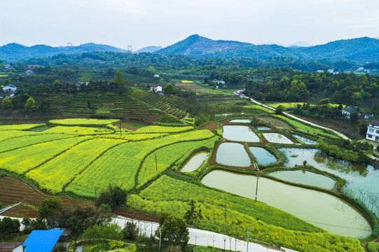 美丽乡村