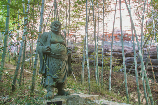 罗汉林风景