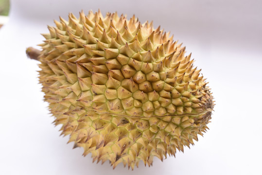 榴莲