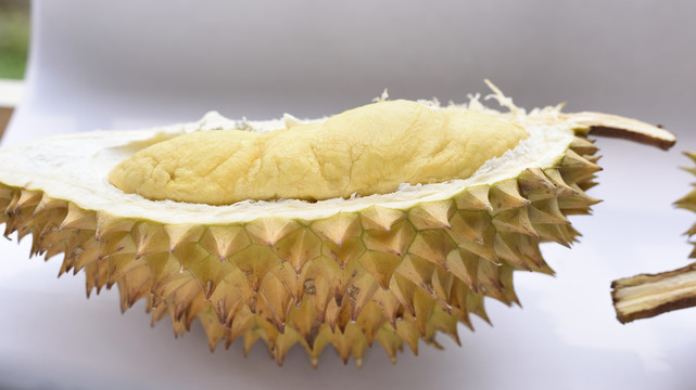 榴莲
