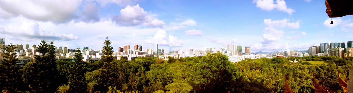 远望龙岗城市风光