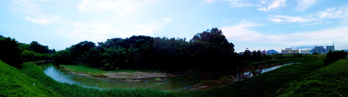 湿地河畔风景