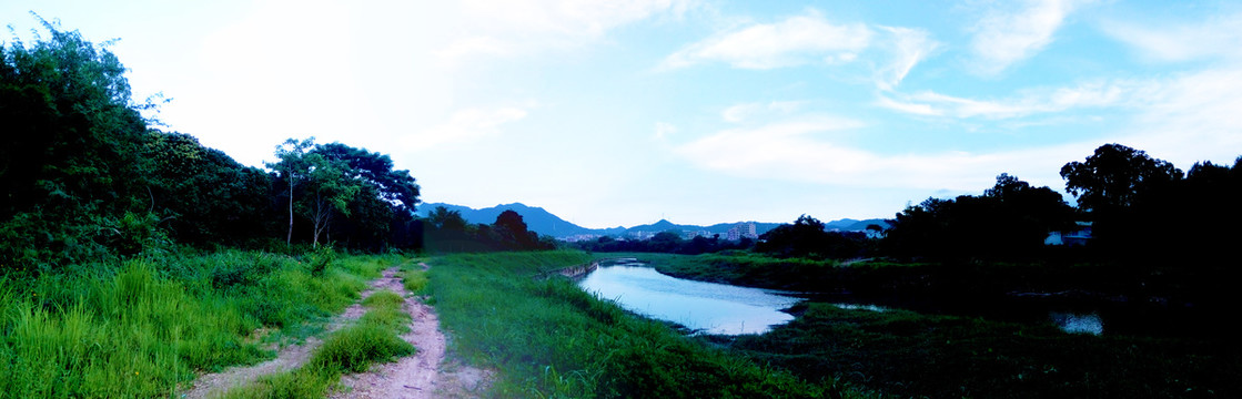 湿地河畔风景