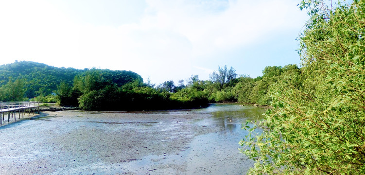 杨梅坑泻湖风光