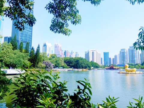 深圳荔枝公园湖畔